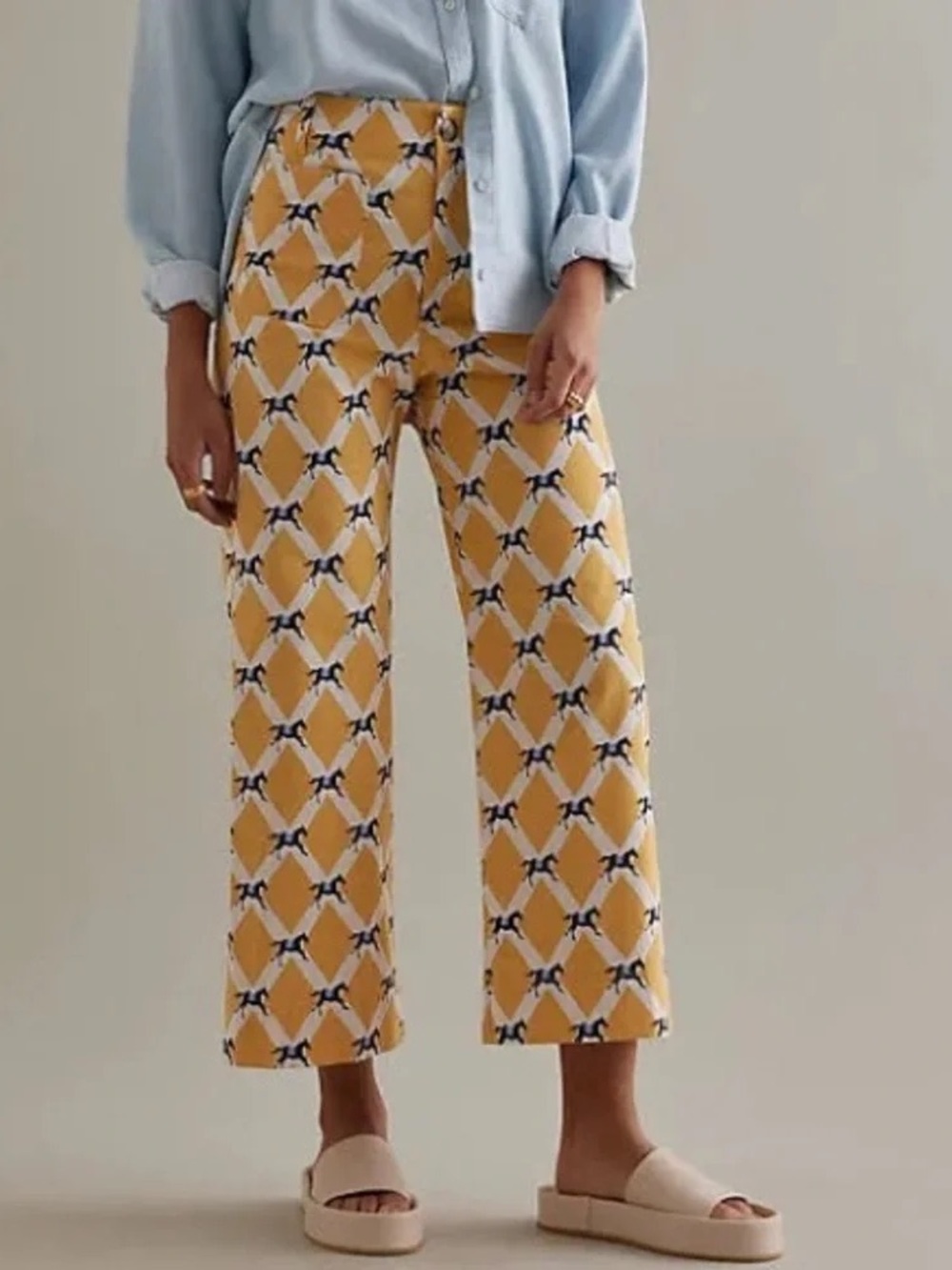 Anthropologie The Colette Cropped Wide-Leg Pants Size 29
